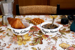Bol Breton - Papy Gâteau