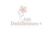 Logo LesDnicheuses dans des tons pâles